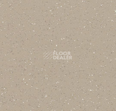 Линолеум Forbo Modul'up 19 dB Colour 3811UP4319 grey beige cristal фото 1 | FLOORDEALER
